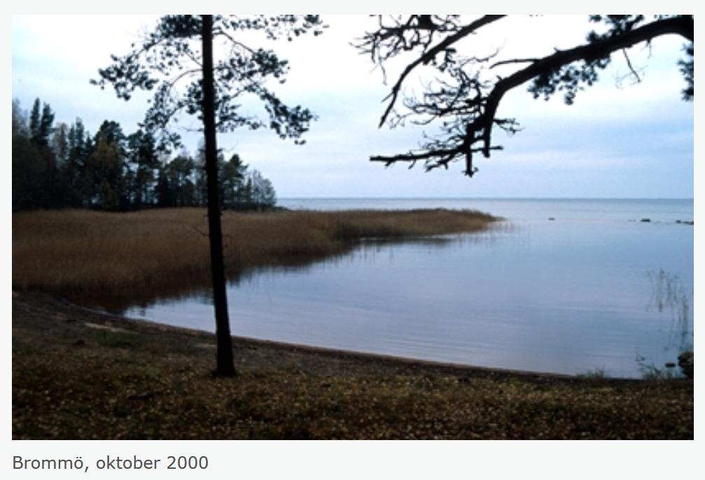 3.4.4 Liten variation i vattennivå idag och i ett framtida klimat Längs Vänerns stränder pågår en snabb igenväxning, vilket bedöms vara den största påverkan på Vänerns hotade arter (Vänerns