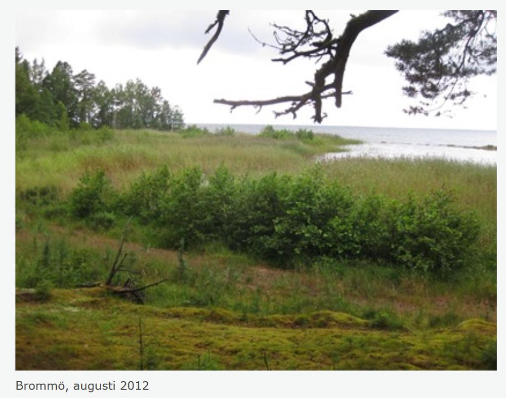 Den ekologiska statusen enligt vattendirektivet är i de centrala delarna av Vänern klassad som måttlig, med hänsyn till regleringen och igenväxningen runt Vänerns stränder (VISS, 2018).