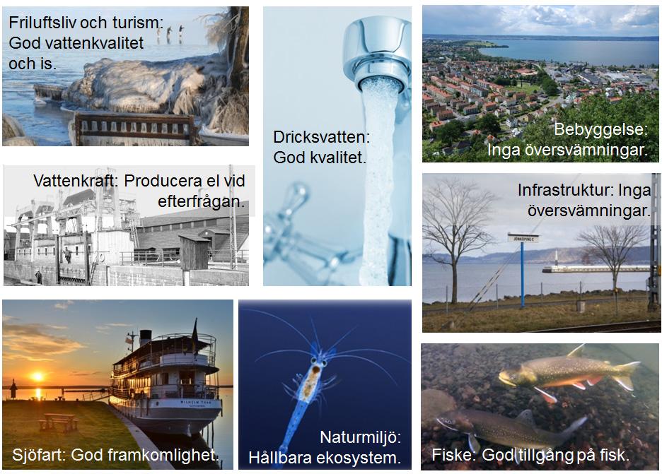 4.1 Intressen kring sjön Eftersom Vättern är så djup har den också kallt vatten. Därför hyser sjön ett kallvattenekosystem med arter som har krav på kallt vatten för att överleva.