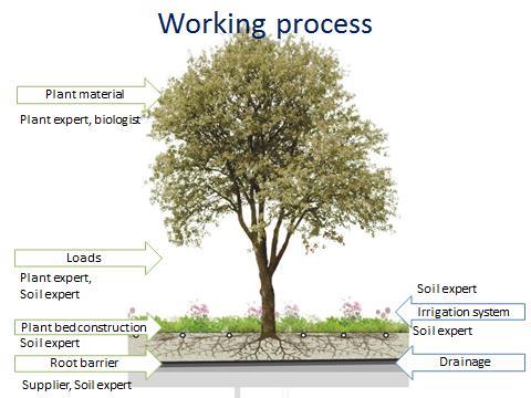 Projektorganisation Sex arbetsgrupper Problemanalys och kunskapsinventering Tätskikt, isolering och betongbjälklag Växtbädd och vegetation