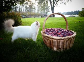 beträffande färg, komposition, beskärning mm -många goda tips kom han med!