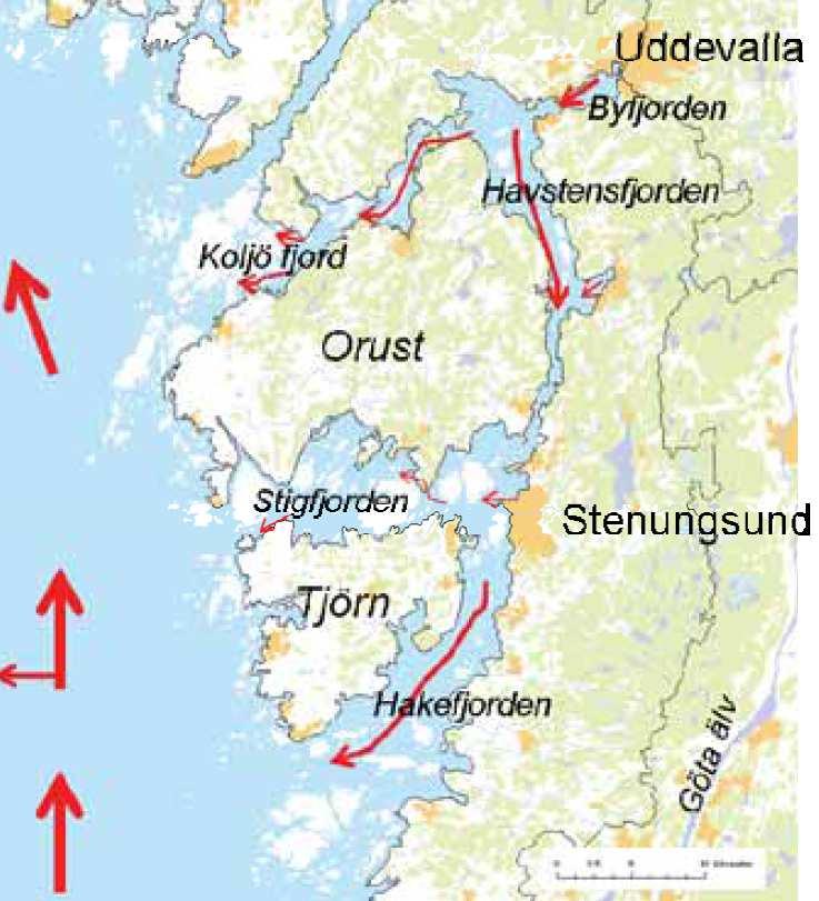 TRANSPORT AV NÄRINGSÄMNEN Hakefjorden är mellan 10-30 m, men