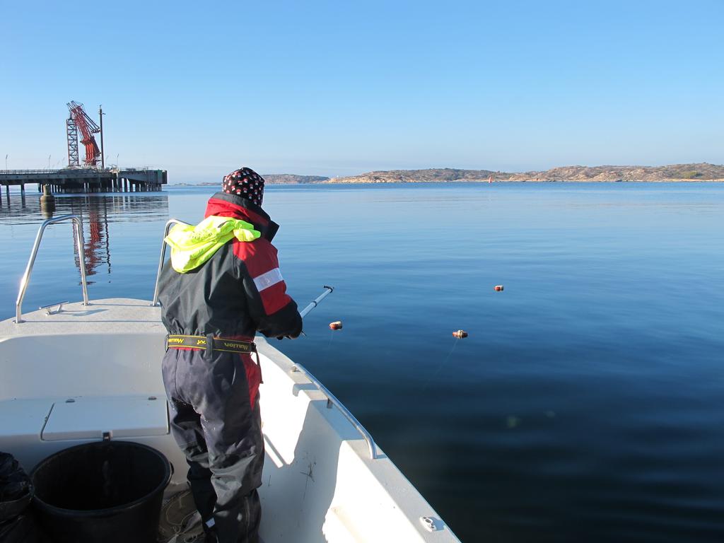 MARINE MONITORING AB Undersökning av miljögifter