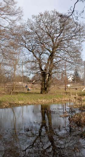 läggning av mark och vatten och om byggande.