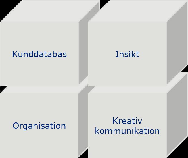 Kundfokuserad organisation Hur stödjer vi organisationen för att effektivare driva framgångsrik kundutveckling?