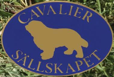 CAVALIERSÄLLSKAPETS