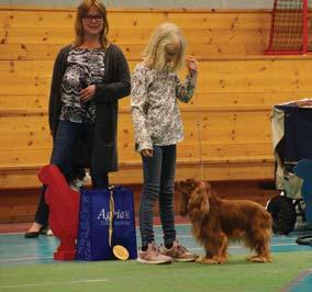 CAvalierfestivalen Båda dagarna var det dessutom barn med hund där unga och duktiga handlers visade upp sina talanger. Vinnare båda dagarna var Malva XX.
