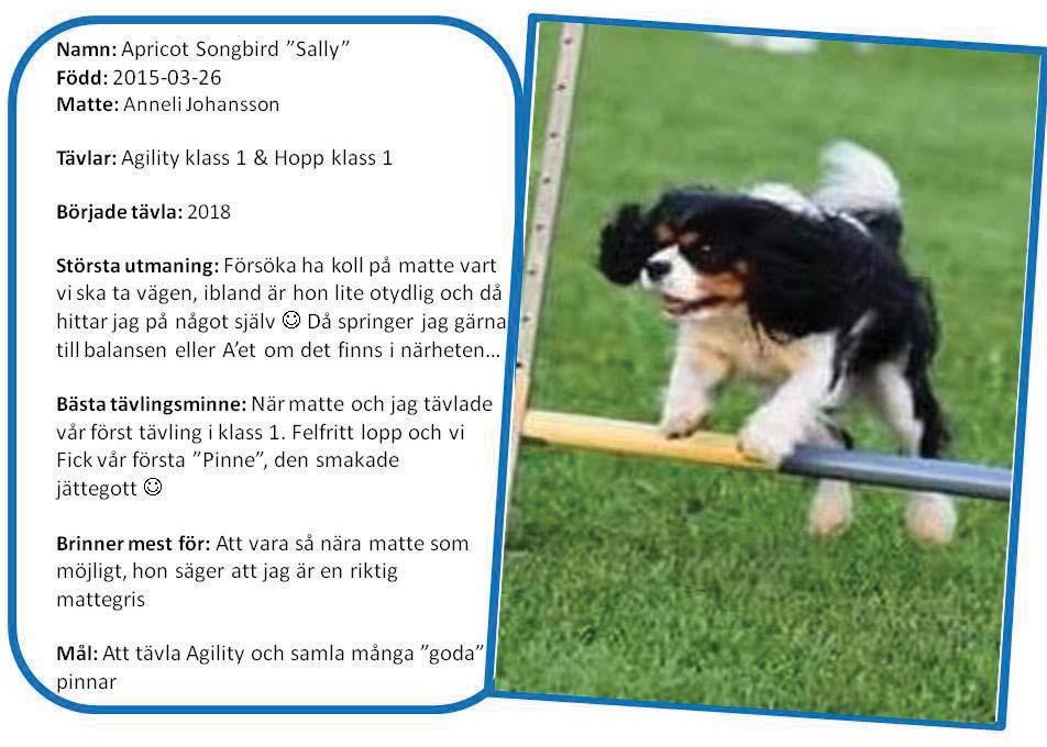 Aktivering agility resultat 20180520 - Eskilstuna HDK hopp1, placering 4/32, pinne 20180505 - Forserum BK hopp 1, placering 4/27, pinne 20180325 - Ulricehamn BK hopp 1, placering 4/54, pinne 20180310