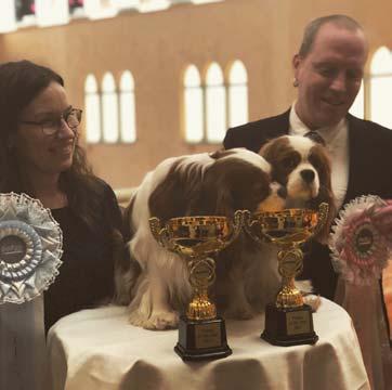 2018-02-10 Fredericia Hanne Laine Jensen På plats var Cavanzas Northern Star BIS1 valp på