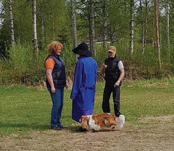 lo övre och nedre norrland Cavaliersällskapet Övre Norrland anordnade 21/5 BPH genom Strandvallens hundskola för de som ville vet mer om sin cavaliers mentala egenskaper och personlighet.