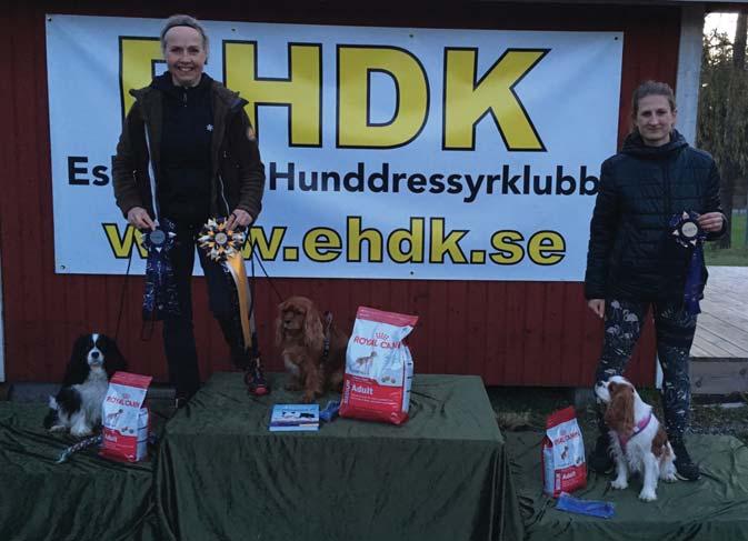 På lördagen blev Toftas Tom Tom BIR och Gentleline s