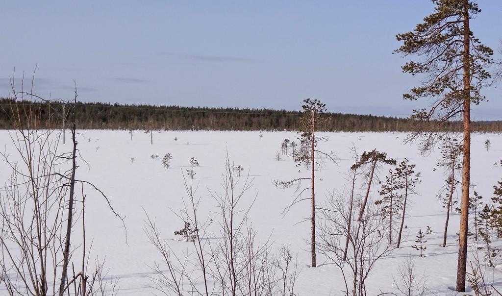 Byggskede Under byggskedet ska kontroll ske så att åtgärderna genomförs på föreskrivet sätt.