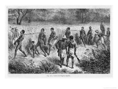afrikaner kom fram till