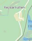 Dessa är