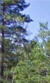 2.5.2 Naturmiljö