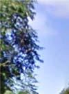 Figur 14: Identifierat allmänt