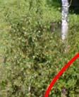 Trafikverket har därför på senare år
