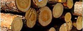 Martin Jansson, +46 7 333