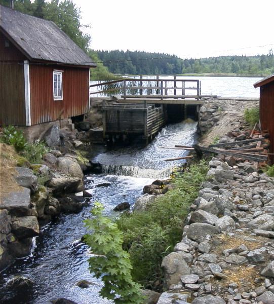 4.Fysisk påverkan Många hinder för fisk att ta sig upp i vattendragen