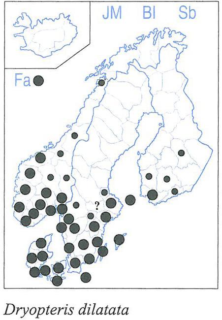 Lundbräken Dryopterisdilatata Flora