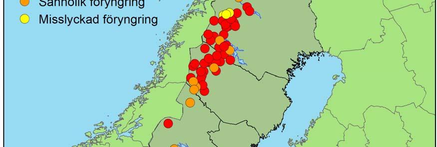 föryngringar av järv som