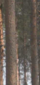 Vad är mina nya skiften värda?