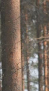 Weda Skog hjälper dig gärna att reda ut begreppen.