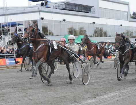 NYHETER 120914 Nästan full pott på hemmaplan Magnus Jakobsson hade två uppsittningar på Färjestad igår. Det blev fin utdelning med en seger och ett andrapris.