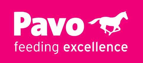 www.pavo.