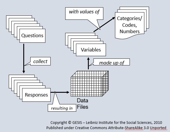 Dokumentation på variabelnivå DDI (Data Documentation Initiative) element