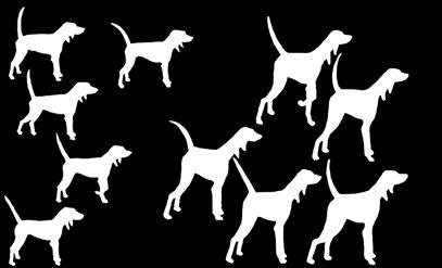 Hur många poäng får hunden 9 poäng c. 9 domare ger Ramis hund poäng. Hur många poäng får hunden 9 poäng d.