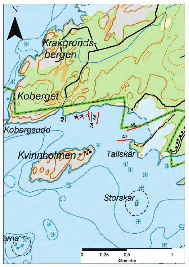 Arnön är ett fint delområde med flera typarter för N2000 habitat. Lokalen bör behållas som miljöövervakningsområde och för att den är representativ för N2000 område 3110 och 3130.