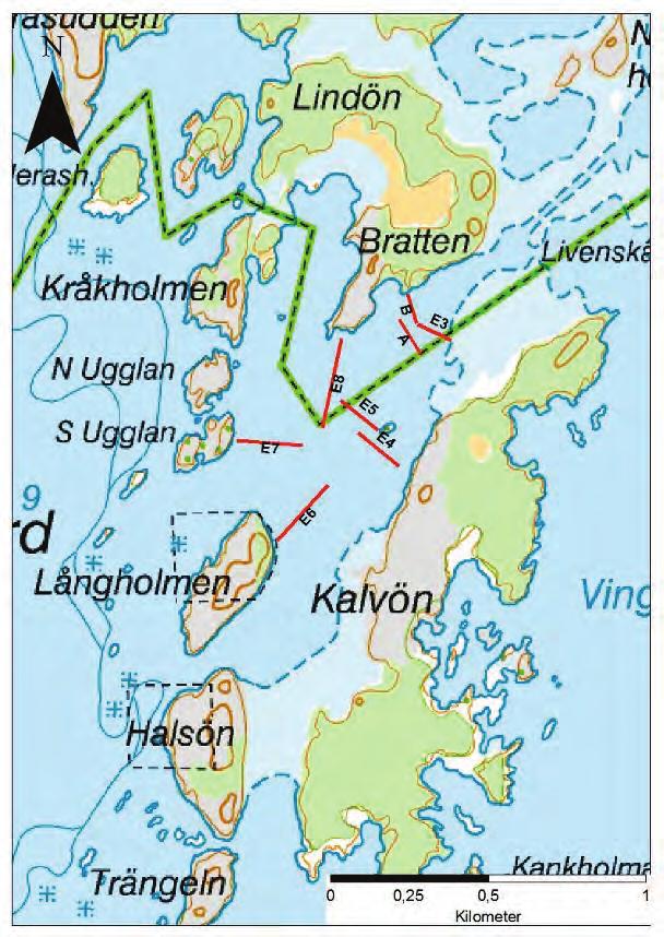 Av de åtta inventerade transekterna som ses i kartan (figur 9) är transekt A och B även inventerade