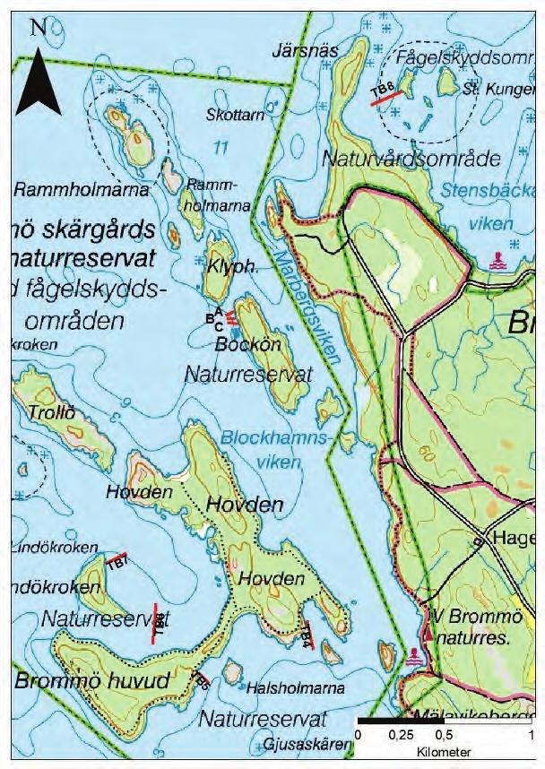 miljöövervakningssynpunkt och inom N2000 områden. Brommö bör därmed behållas som miljöövervakningsområde och som övervakning för N2000-område.