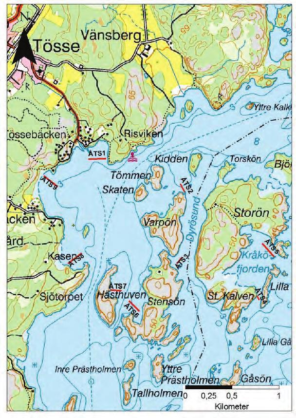 Vid inventeringen gjordes rikliga fynd av allmän dammussla (A.anatina) och enstaka fynd av flat dammussla (P.complanata). I skärgården förekommer rikligt med arter där styvt braxengräs (I.