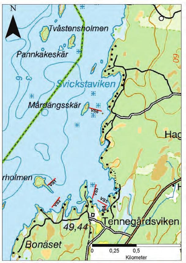 Viken är artrik med rik förekomst av flera kortskottsväxter och även förekomst av kransalger. Frekvensen är störst hos strandpryl (L. uniflora) (22 %) och notblomster (L. dortmanna) (19 %) (figur 22).