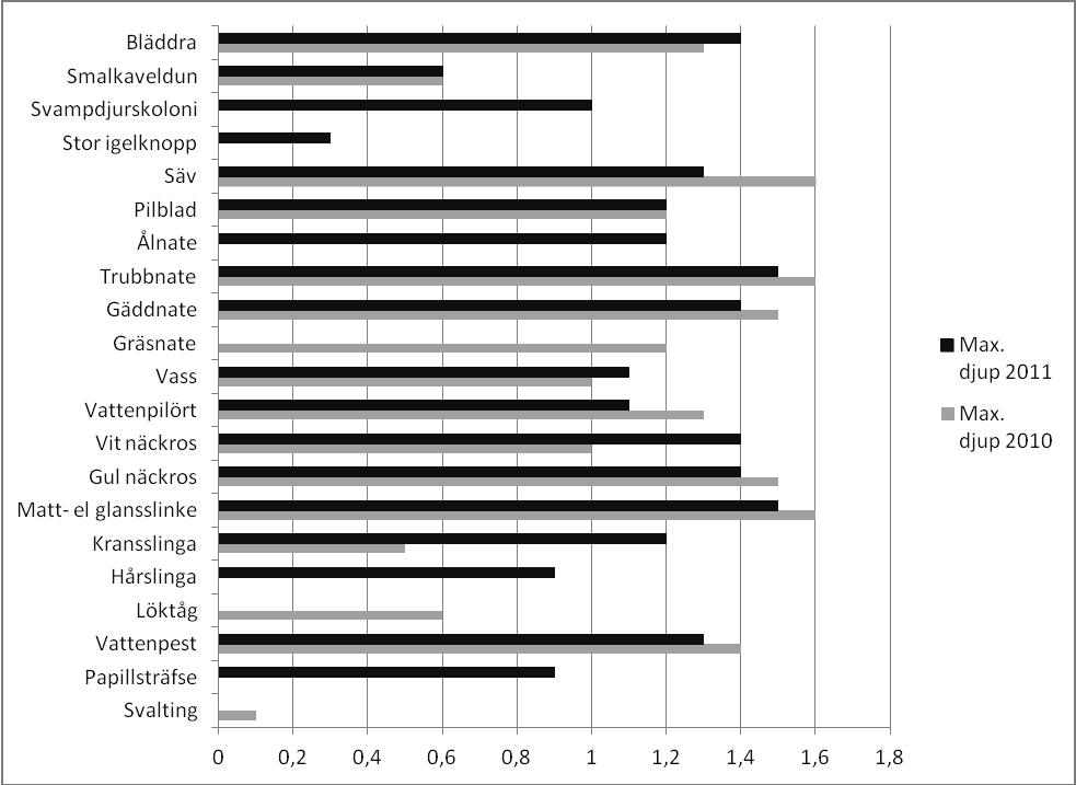 Typvikar Vänern sida 21 2010-2011 Som figur 10 visar dominerar gul näckros kraftigt i området. Även säv förekommer frekvent.