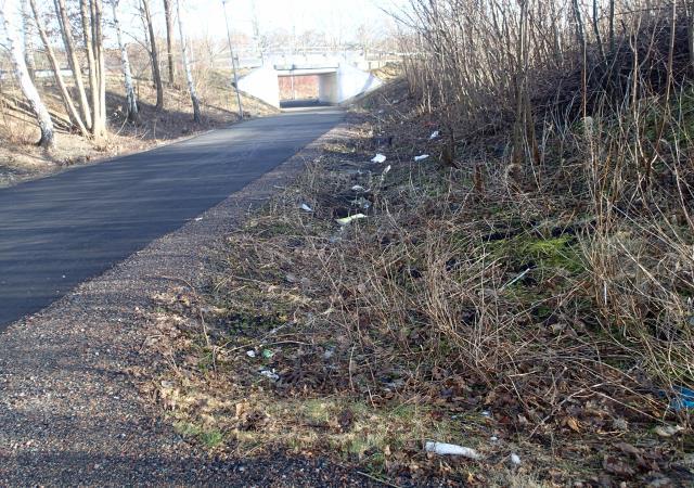 Diket längs gång- och cykelvägen i väster avvattnar delvis
