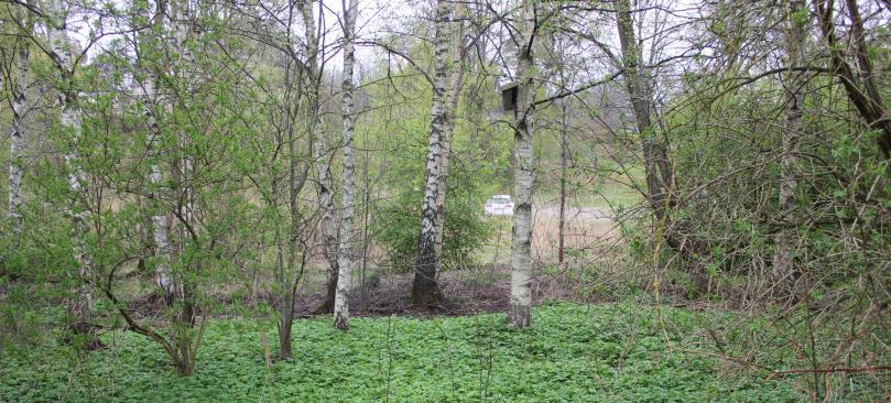 Påverkan och konsekvenser Landmiljöer Naturvärden - Naturvärdesinventering i området