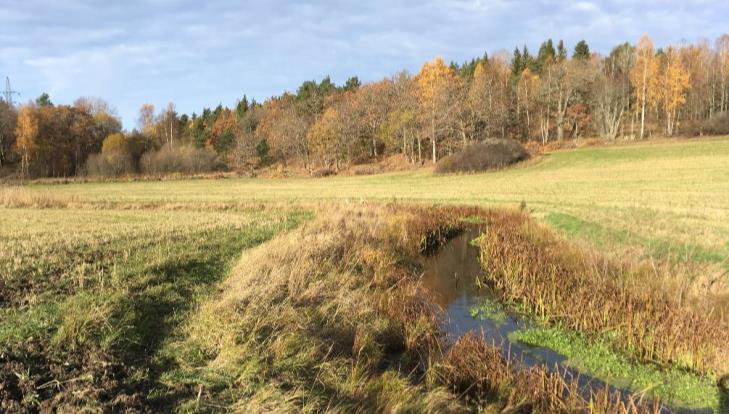 Påverkan och konsekvenser Vattenmiljöer Naturvärden - Balingsholmsån är väldigt påverkad men bedöms hysa Påtagliga naturvärden (klass 3) Konsekvenser - Minskad näringsbelastning ger mindre