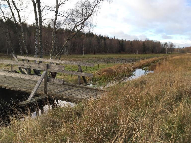 Påverkan och konsekvenser Rekreation och friluftsliv Ökad tillgänglighet - En markerad led inbjuder till rörelse i området och skapar en länk till andra målpunkter som Ågestasjön och