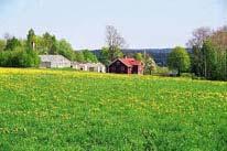 - Lövskogar Kleven Hedekskog. Grov till medelgrov i norr och i branten nedanför gården Kleven. Vid gården finns grov lind och ask, som bär spår av hamling. Talrika lågor och torrakor av ek.