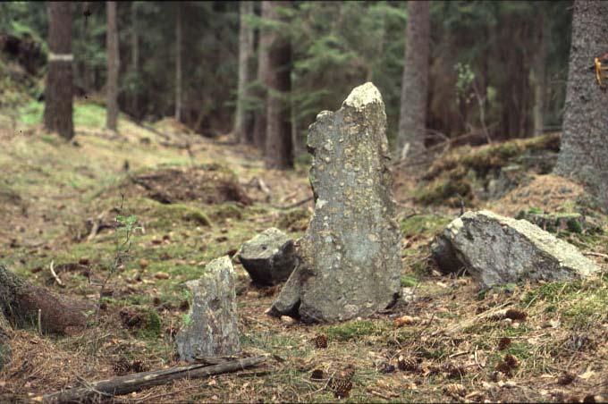 - Barrskogar Glossbo Hagar med medelgrov till grov ek och inslag av björk och asp. Norr om hagarna klen till medelgrov hedekskog som i vissa mindre partier övergår till en ek-hasselskog.
