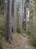 På kartan ser man tydligt hur de långsträckta dalarna och sjöarna är orienterade i sydväst - nordostlig riktning. Sjöarna Anten, Mjörn och Ömmern är typiska exempel på detta.