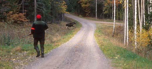 Bakgrund Arvika 2005, Sv.