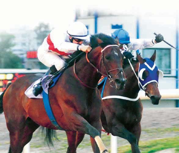 JÄGERSRO GALOPP Tävlingarna arrangeras av Skånska FältrittklubbenSvensk Galopp www.svenskgalopp.se e-post info@svenskgalopp.se Adress gersro Galopp, Box 0, 00 Malmö Öppettider Mån-fre.00-.00,.0-.00 (fre -.