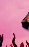 ,0 Wild Tobacco Superstitious - S T Gustafsson NERISSA B Andreas Tapia Dalbark (), fux s Helsinki-Isotria Distant Thunder (Pettersson Eva C S) -- 00 (0 0) ORANGE,svart rundel;orangea;vit