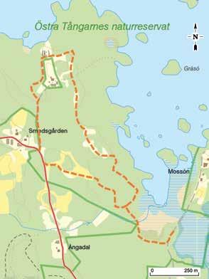 ÖSTRA TÅNGARNE NATURRESERVAT Naturreservatet ligger väster om Diö på väg ut mot Höö och består av fastmark, mader, lång strandlinje och en del av sjön Möckeln.