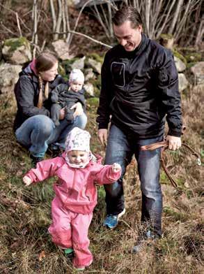 Foto: Henrik Palmberg I strandskogen mot Möckeln finns gott om multnande ved eftersom vattenståndsskillnaden är 1,5 meter mellan hög- och lågvatten.