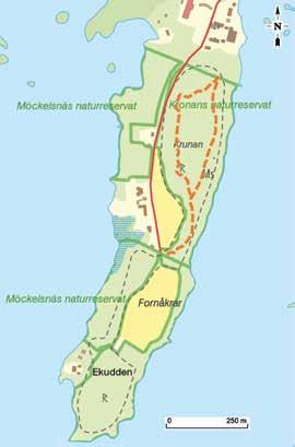 KRONANS NATURRESERVAT Det är en speciell känsla att vandra i Kronan lövträdens kronor bildar ett tak som gör att det känns sagolikt och mystiskt.
